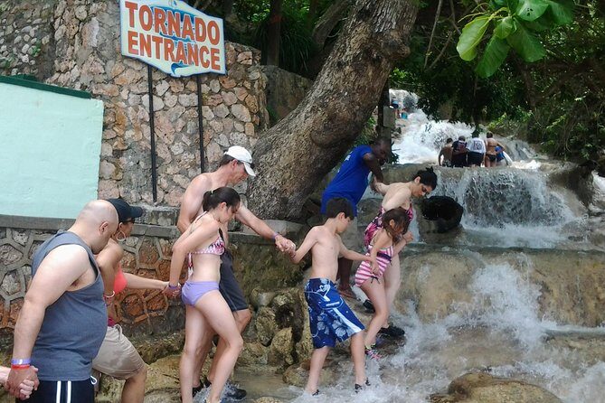 Blue Hole, Dunn's River Falls Luminous Lagoon Excursion From Montego Bay - A Deep Dive into the Itinerary