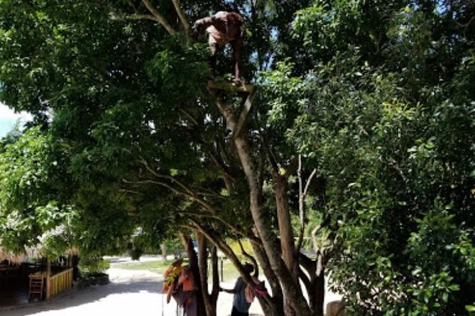 Blue Hole Mineral Spring and Ricks Cafe Private Tour - Common Questions