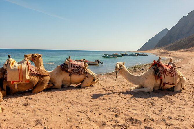 Blue Hole National Park,Canyon Salama Dahab &Lunch-Sharm ElSheikh - Directions and Itinerary