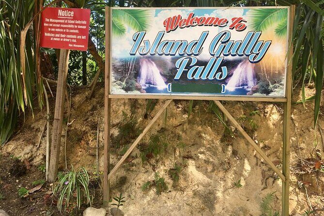 Blue Hole or Dunns River and Luminous Lagoon from Montego Bay - The Experience of a Lifetime—With a Personal Touch