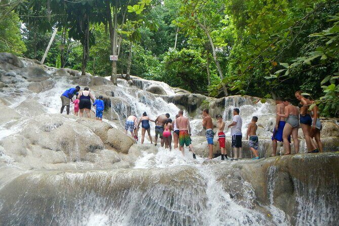 Blue Hole or Dunns River and Luminous Lagoon from Montego Bay - Who Will Love This Tour?