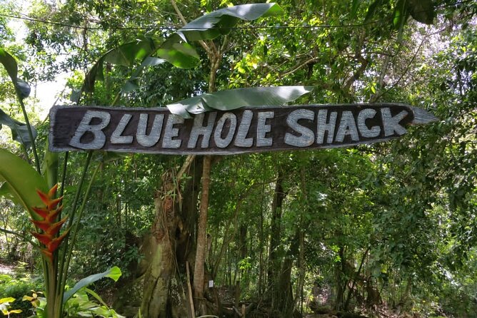 Blue Hole/Secert Falls and Dunns River Combo Tour - Tour Overview and Itinerary