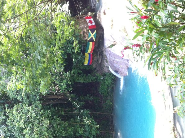 Blue Hole / Secret Falls & Jamaica Sightseen Private Tour - Important Details and Requirements