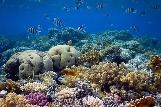 Blue Hole Snorkeling Tour With Lunch From Dahab - Tour Overview and Highlights