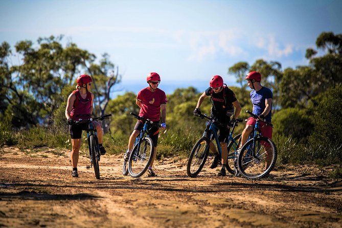 Blue Labyrinth PRIVATE Tour: Sydney Blue Mountains by E-Bike - Experience the Beauty of the Blue Mountains