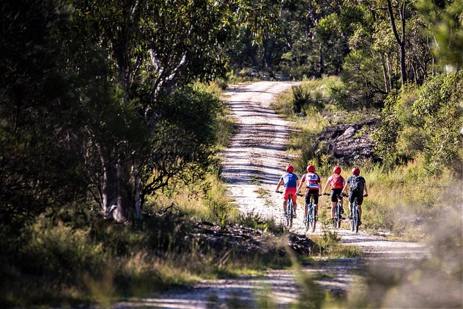 Blue Labyrinth PRIVATE Tour: Sydney Blue Mountains by E-Bike - Important Information for Participants