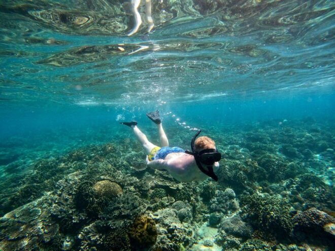 Blue Lagoon : All Inclusive Snorkeling Adventure - Full Description of the Experience