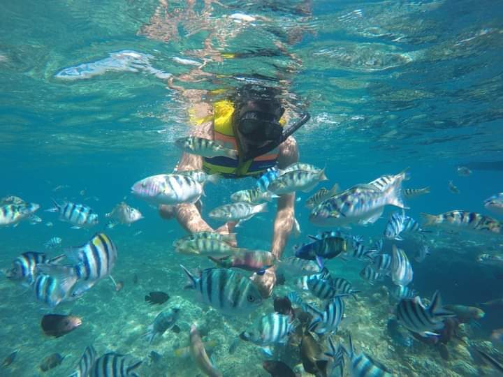 Blue Lagoon and Tanjung Jepun Snorkeling in Padang Bai Bali - At a glance