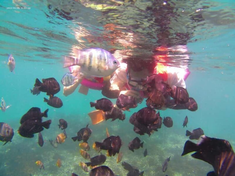 Blue Lagoon and Tanjung Jepun Snorkeling Tour - Exploring the Itinerary in Detail