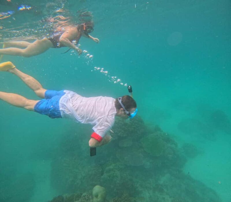 Blue Lagoon and Tanjung Jepun Snorkeling Tour - Who Will Love This Tour?