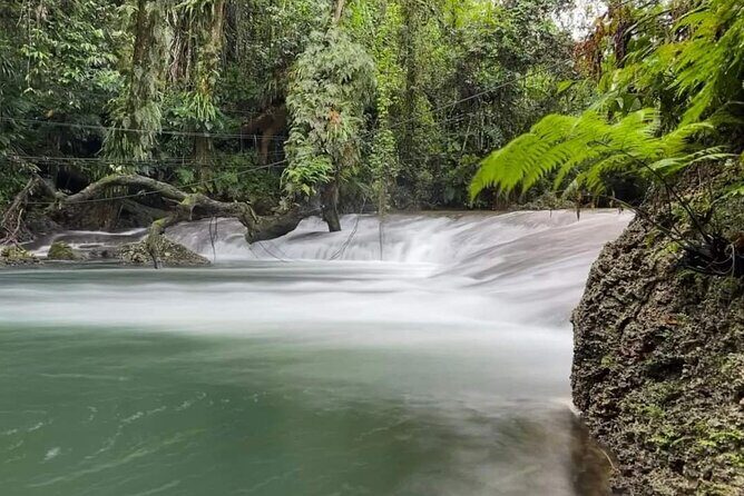 Blue Lagoon & Eden on the River - Half Day Trip with Yumi Tours - Transport and Group Size