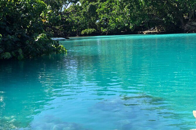 Blue Lagoon Express Bus - The Tour Overview: What to Expect