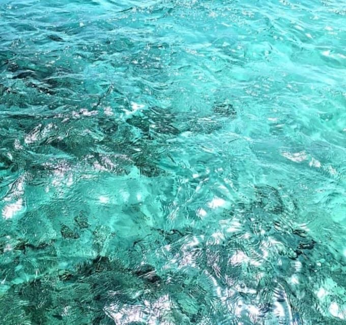 Blue Lagoon: Half-Day Escape - What Past Travelers Say