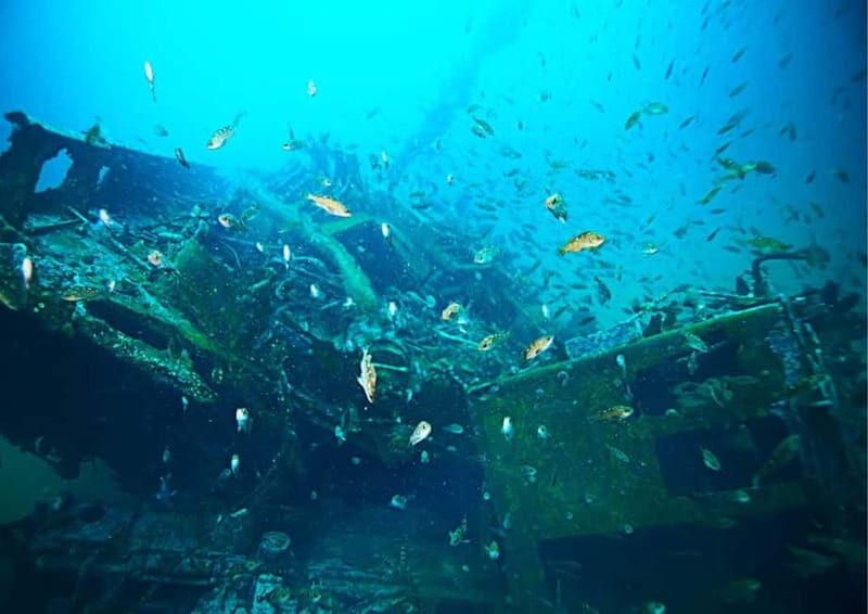 Blue Lagoon Island Bliss: A Full-Day with Lunch - The Practical Details: What Makes This Tour Stand Out?