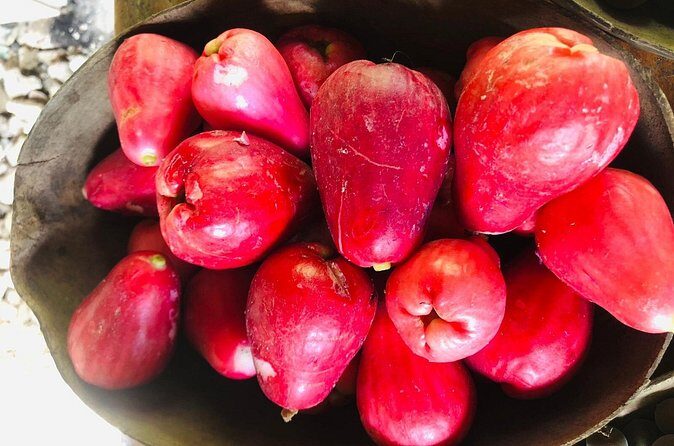 Blue Lagoon & Laguna el dudu from puerto plata - What Reviewers Say (and What You Can Expect)