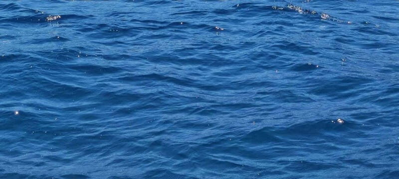 Blue Lagoon Latchi, coach transfer+boat trip, Half day trip - An Overview of the Tour Experience