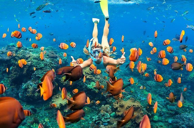 Blue lagoon Private Snorkeling Adventure Bali - Who Will Love This Tour?