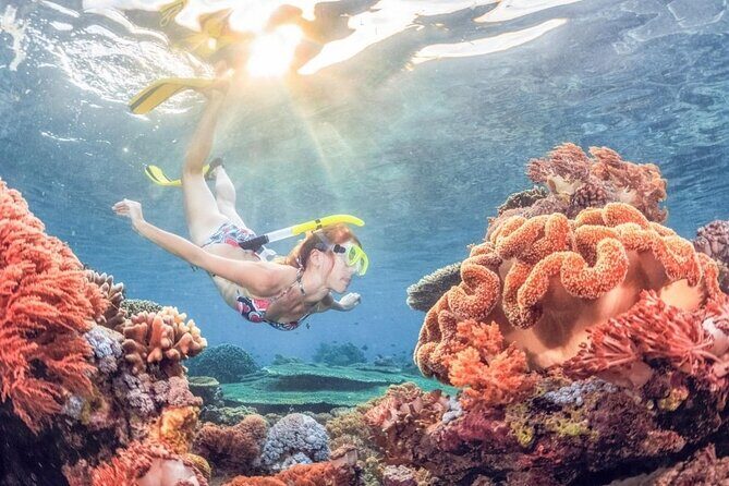 Blue lagoon Private Snorkeling Adventure Bali - The Sum Up