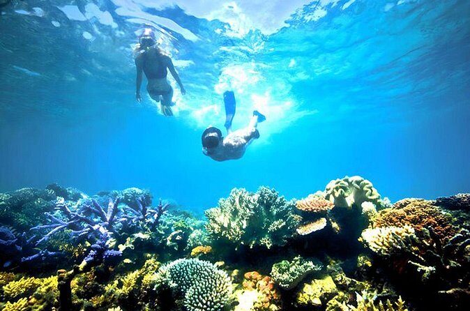 Blue lagoon Private Snorkeling Adventure Bali - FAQ