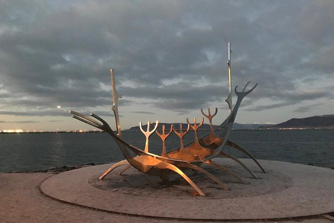 Blue Lagoon & Reykjavík Sightseeing - PRIVATE TOUR - Additional Information