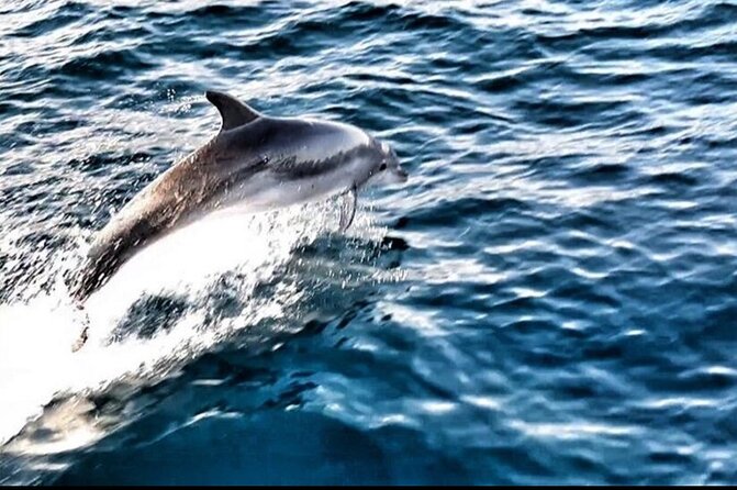 Blue Lagoon, Shipwreck & Maslinica From Split With LUNCH & DRINKS - Booking and Cancellation Policy