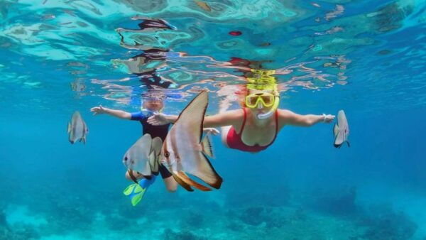 Blue Lagoon Snorkeling Adventure, Monkey Bar, Waterfall - Booking and Cancellation Policy