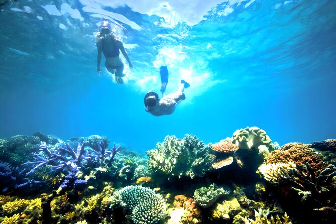 Blue Lagoon Snorkeling and Ubud Waterfall Tour - Inclusions and Exclusions