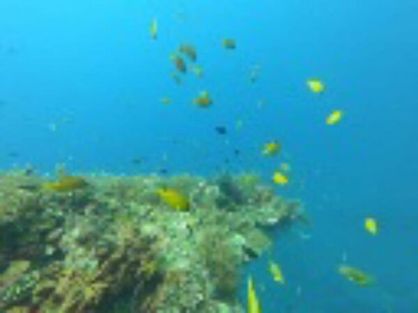 Blue Lagoon Snorkeling & Candidasa Hidden Activities - Booking and Cancellation Policies