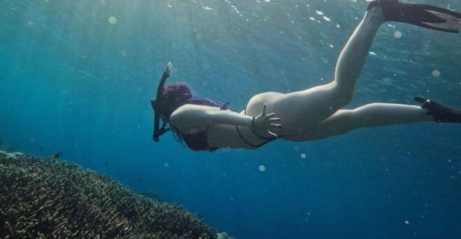 Blue Lagoon Snorkeling Combination With Swing and Terrace - Inclusions of the Tour