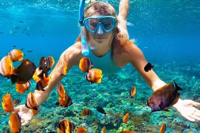 Blue Lagoon Snorkeling Tour Combain Ubud Spa - All inclusive - Good To Know