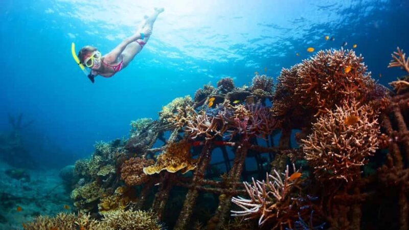 Blue lagoon Snorkeling Tour with Lunch & Private Transfers - Exploring the Blue Lagoon Snorkeling Tour with Lunch & Private Transfers