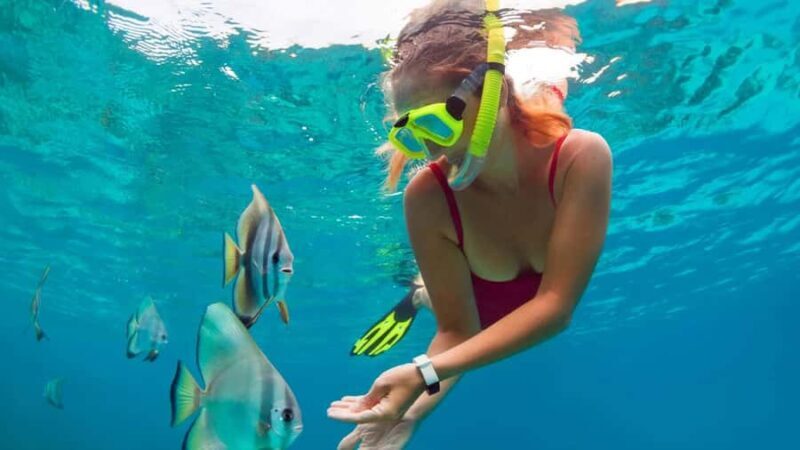 Blue lagoon Snorkeling Tour with Lunch & Private Transfers - Good To Know  