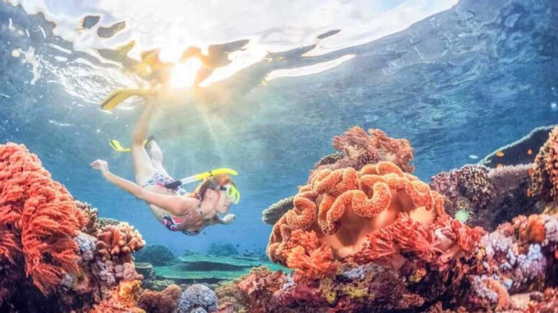 Blue lagoon Snorkeling Tour with Lunch & Private Transfers - Authentic Insights from Reviewers