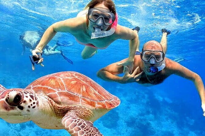 Blue Lagoon Snorkeling with Lunch and Private Transport - Deep Dive into the Blue Lagoon Snorkeling Experience