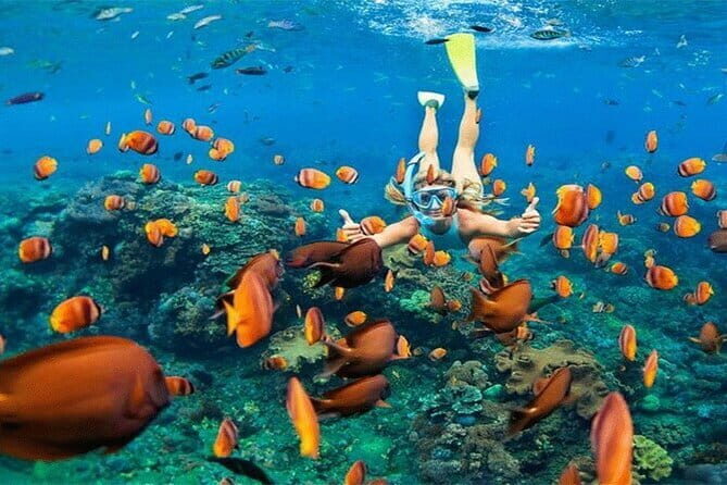 Blue Lagoon Snorkeling with Lunch and Private Transport - FAQs