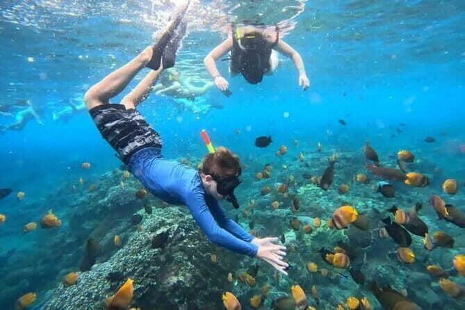 Blue Lagoon Snorkeling with Lunch and Waterfall in Ubud - Good To Know