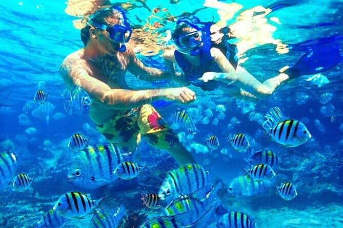 Blue Lagoon Snorkeling with Lunch and Waterfall in Ubud - What to Expect from the Blue Lagoon Snorkeling with Waterfall and Lunch Tour