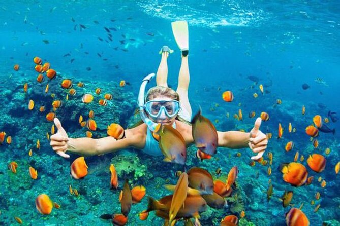 Blue Lagoon & Tanjung Jepun Snorkeling Private Tour - Tour Highlights