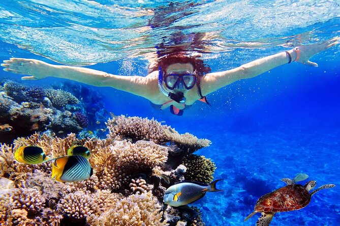 Blue Lagoon & Tanjung Jepun Snorkeling Private Tour - Itinerary Details