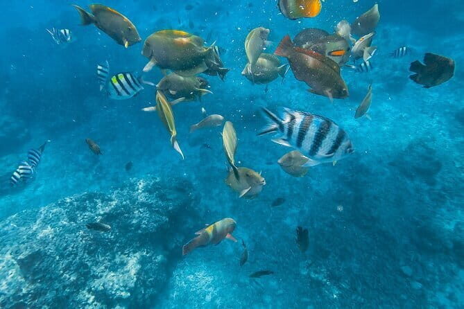 Blue Lagoon & Tanjung Jepun snorkeling with Kanto Lampo WaterFall and Monkey bar - Authentic Experiences and Practical Tips