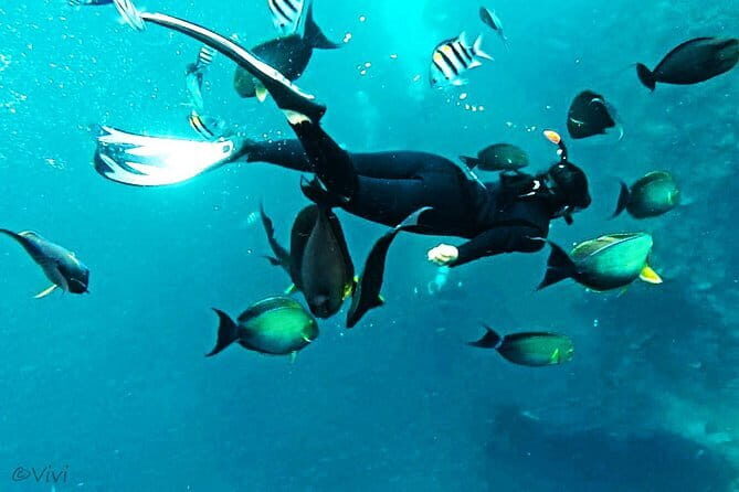 Blue Lagoon & Tanjung Jepun snorkeling with Kanto Lampo WaterFall and Monkey bar - Final Stop: Kali Unda Dam Waterfall