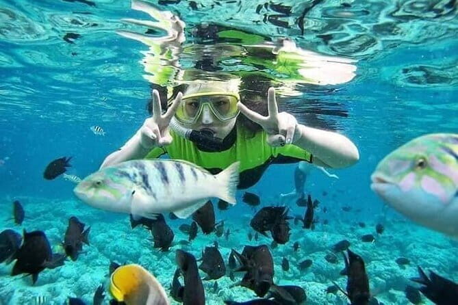 Blue Lagoon & Tanjung Jepun snorkeling with Kanto Lampo WaterFall and Monkey bar - What’s Not Included