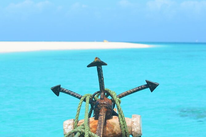 Blue Lagoon Tour, Sandbank Picnic, Stone Town Tour, Secret Garden Restaurant - Accessibility Information