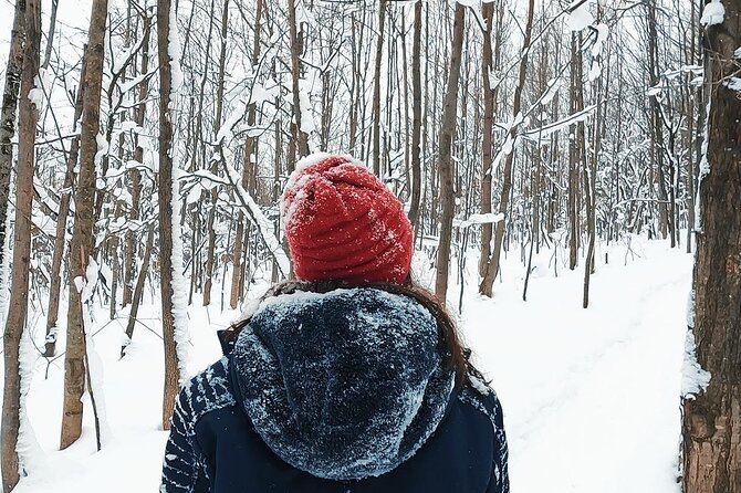 Blue Mountain and Scenic Caves of Collingwood - Terms & Conditions