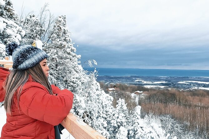 Blue Mountain and Scenic Caves of Collingwood - The Sum Up
