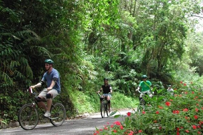 Blue Mountain Bicycle Hike & Bike Tour From Runaway Bay - Departure Information
