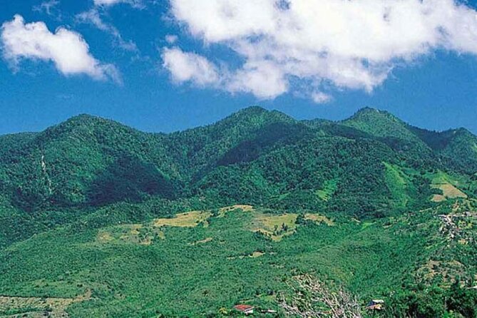 Blue Mountain Bicycle Platinum Tour From Runaway Bay - Tour Itinerary