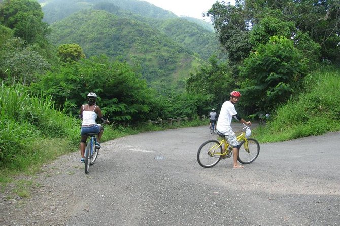 Blue Mountain Bicycle Tour From Kingston - Tour Overview