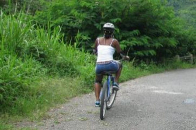 Blue Mountain Bicycle Tour From Runaway Bay - Tour Highlights