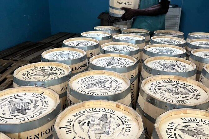 Blue Mountain Highlights Experience - An In-Depth Look at the Blue Mountain Highlights Experience